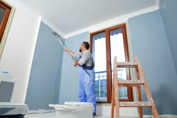 Best Attic Mold Removal  in North Miami Beach, FL