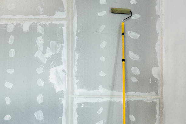 Best Air Quality Testing for Mold Spores  in North Miami Beach, FL