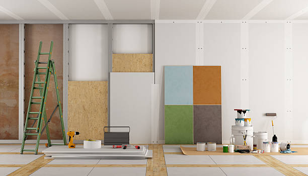 Professional Mold Removal in North Miami Beach, FL